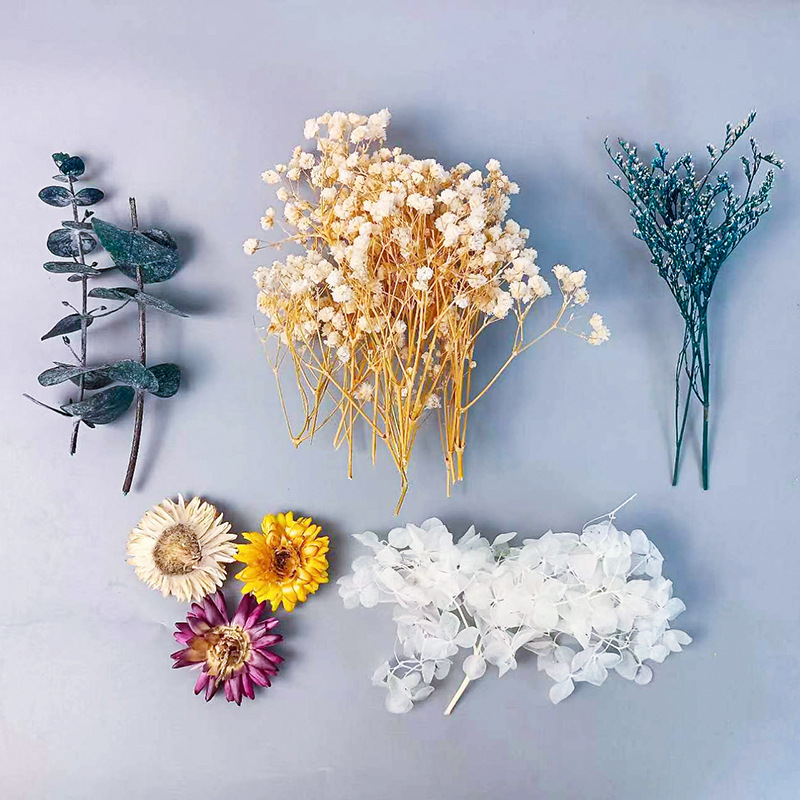 1 paket Çok Çeşitli Kurutulmuş - Craft Embellishment incelemesi ve fiyatı